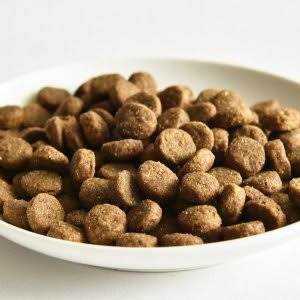 Salmon Recipe Dry Dog Food E467320
