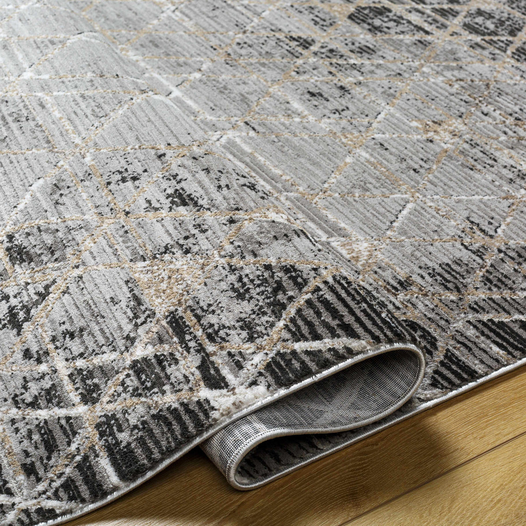 Gray Black 2' x 3' Area Rug F86267