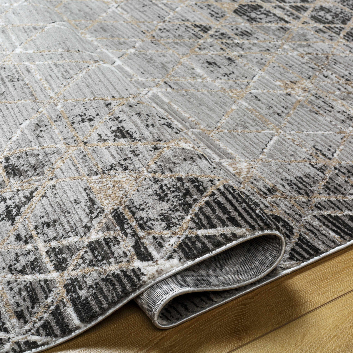 Gray Black 2' x 3' Area Rug F86267