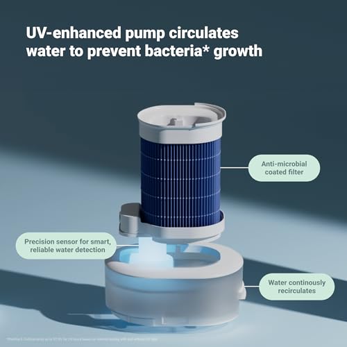 Air Purifier for Small Room, Bedroom, Home X82016