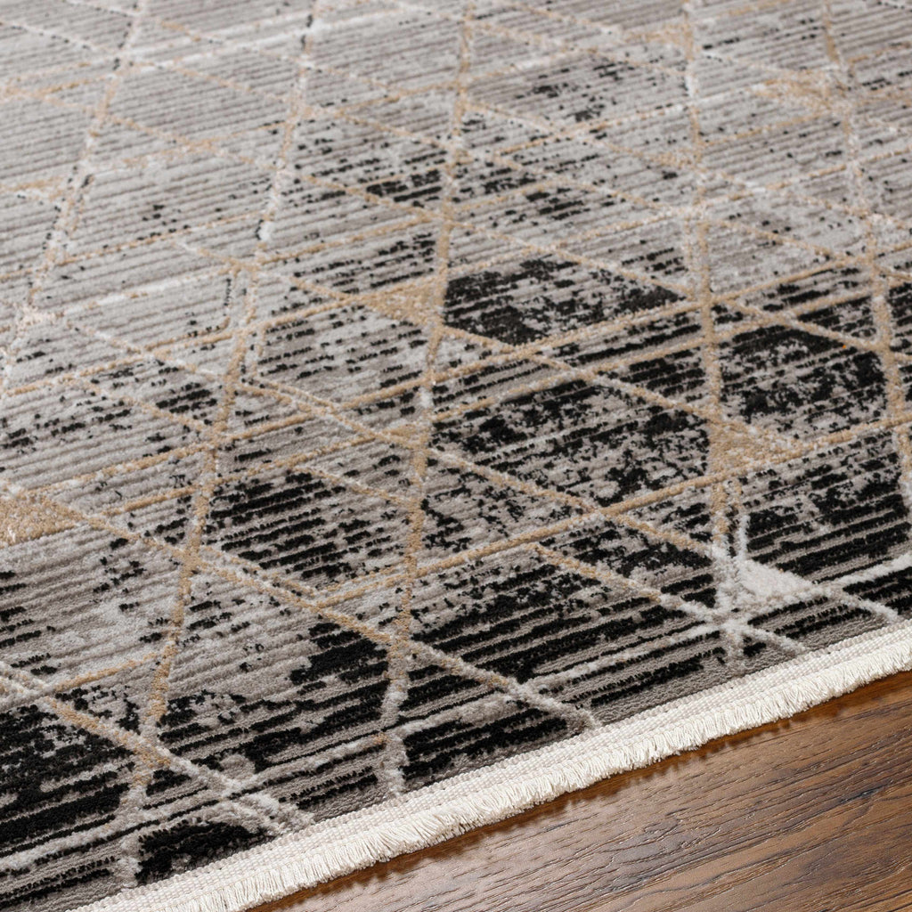 Gray Black 2' x 3' Area Rug F86267