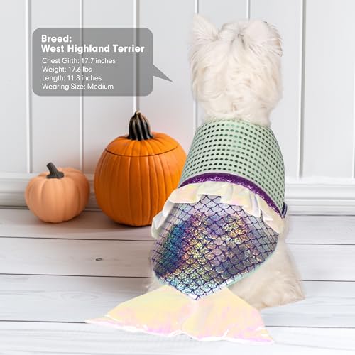 Dog Costumes Size XL W2209