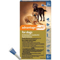 Advantage Multi for Dogs B636749