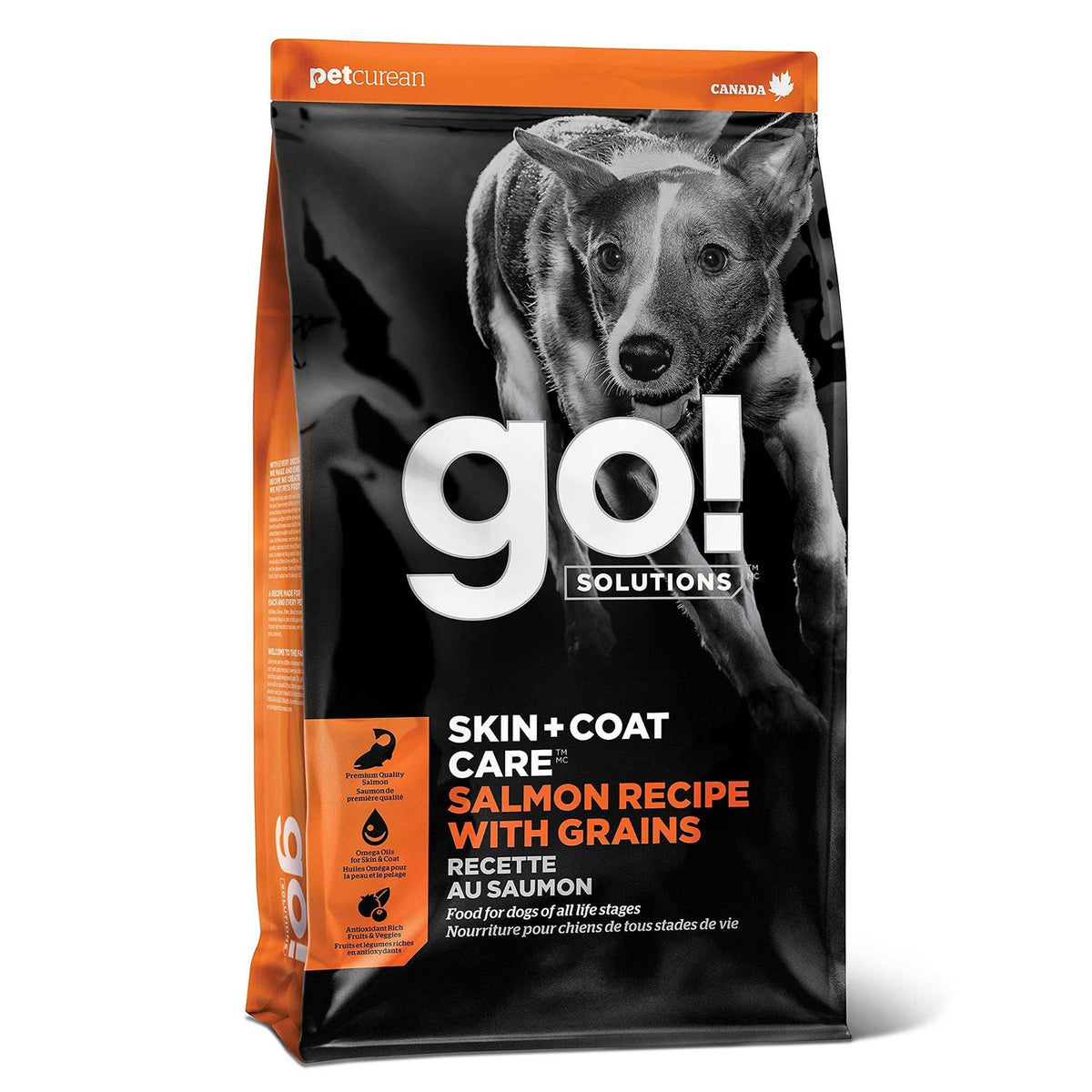 Salmon Recipe Dry Dog Food E467320