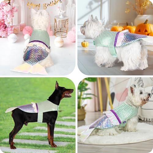 Dog Costumes Size XL W2209