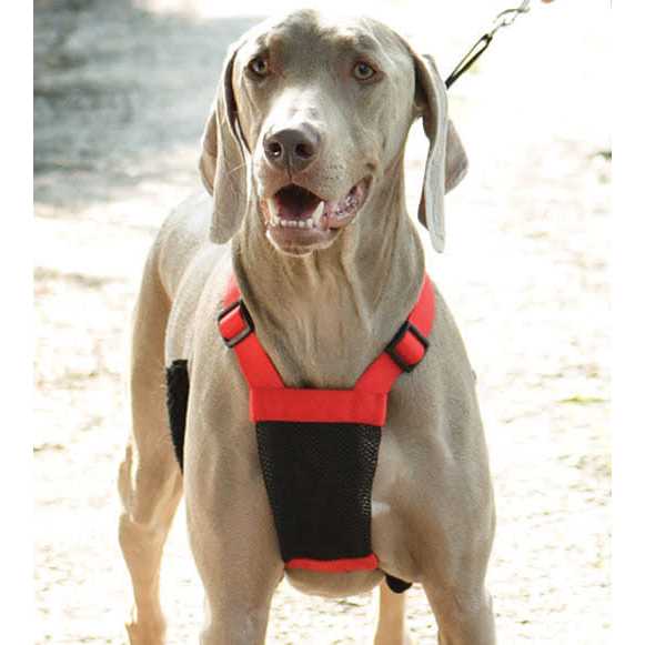 Mesh Non Pull Dog Harness M135175