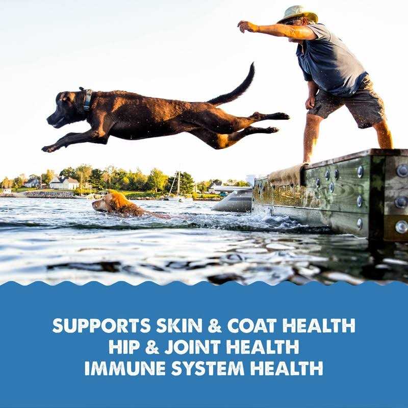Liquid Omega-3 Supplement for Dogs X661