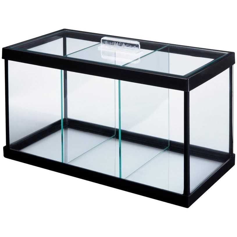 Betta Aquarium with Divider C7979