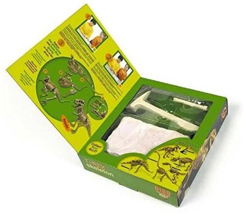Dinosaur Skeletal Specimen Excavation Kit S12295
