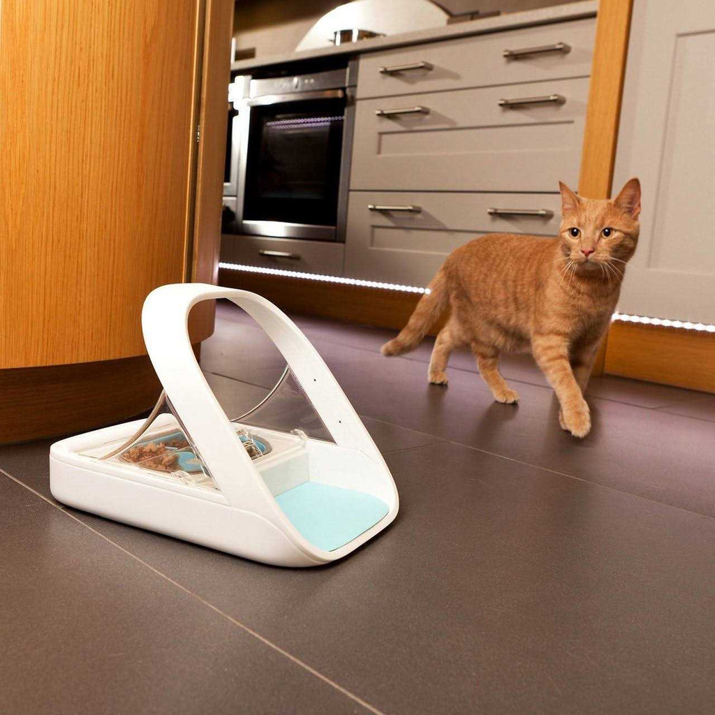 Microchip Pet Feeder Y72179
