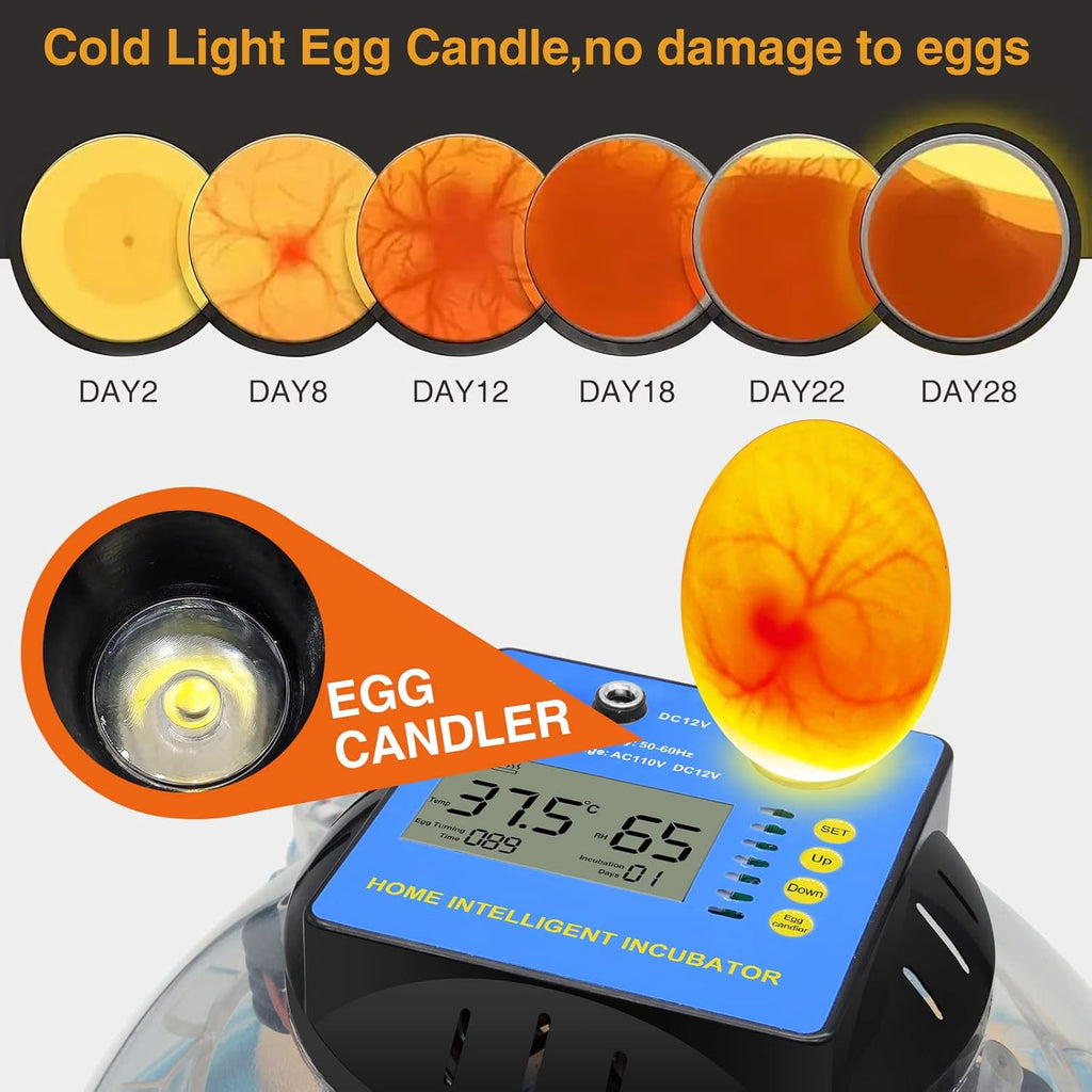 2 Pc Automatic Egg Incubator with Humidity Display Q4326