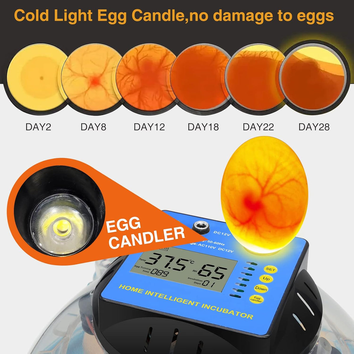 2 Pc Automatic Egg Incubator with Humidity Display Q4326