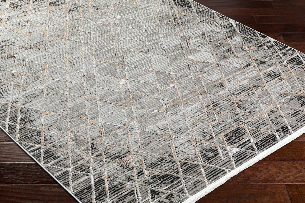 Gray Black 2' x 3' Area Rug F86267