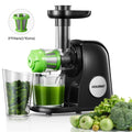 Slow Masticating Juicer Extractor D403