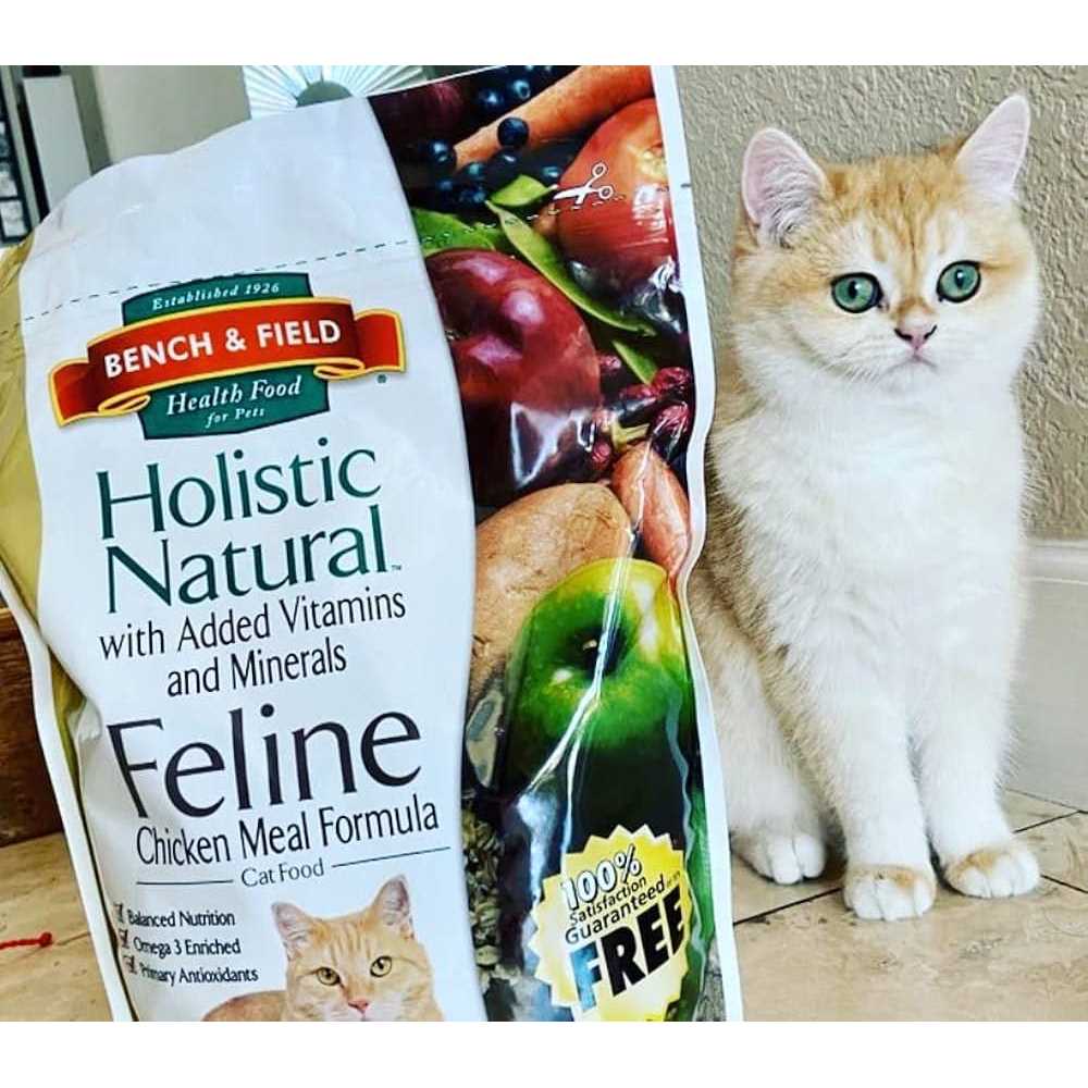 Natural Cat Food M44950
